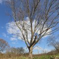 IMG_1220609