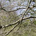 IMG_1220638