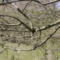 IMG_1220640