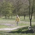 IMG_1220649