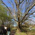 IMG_1220652
