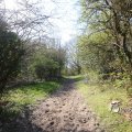 IMG_1220653