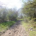 IMG_1220655