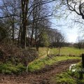 IMG_1220662