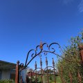 IMG_1220689