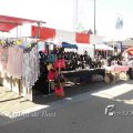 voorjaarsmarkt 18april2015 003