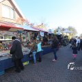 IMG_1219659
