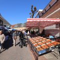 IMG_1219745