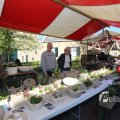 IMG_1219908