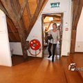 IMG_1220745