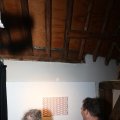 IMG_1220806