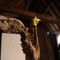 IMG_1220871