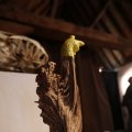 IMG_1220873