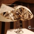 IMG_1220877