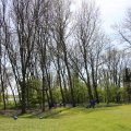 IMG_1221224