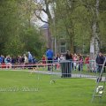 IMG_1222742