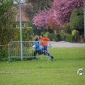 IMG_1224736