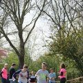 IMG_1226113