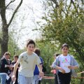 IMG_1226133