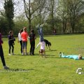IMG_1226161