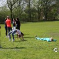 IMG_1226163