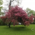 IMG_1226976