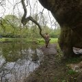 IMG_1226999