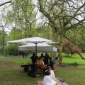 IMG_1227061