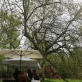 IMG_1227065