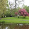 IMG_1227086