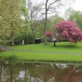 IMG_1227088