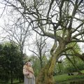 IMG_1227095