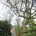IMG_1227097