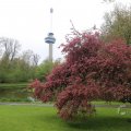 IMG_1227100