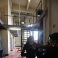 IMG_1227244