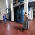 IMG_1227264