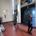 IMG_1227277