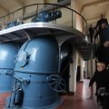 IMG_1227286