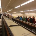 IMG_1227314