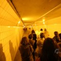 IMG_1227356