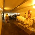 IMG_1227417