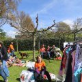 IMG_1229367