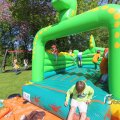 IMG_1229372