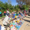 IMG_1229451