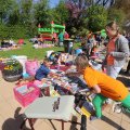 IMG_1229461
