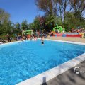 IMG_1229502