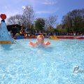 IMG_1229553