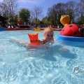 IMG_1229556