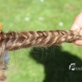 IMG_1229573