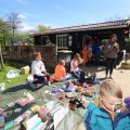 IMG_1229655